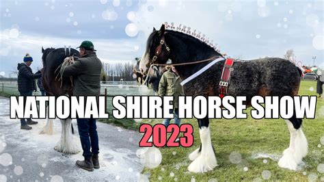 shire horse show 2023